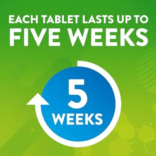 Scrubbing Bubbles Continuous Clean Toilet Drop-Ins 3 Tablets | Septic-Safe Tank Tablets for Stain & Smell Protection thumbnail 3