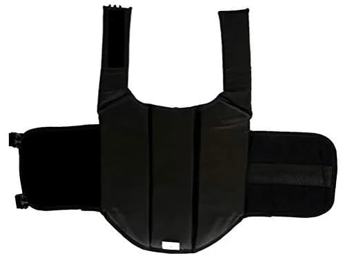 ChezAbbey Dog Life Jacket Adjustable Swimsuit Safety Vest XS | Reflective & Buoyant for Small Dogs thumbnail 4