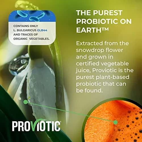 PROVIOTIC Vegan Probiotic Supplement 30 Count | Digestive & Immune Support in Vegan Capsule thumbnail 7