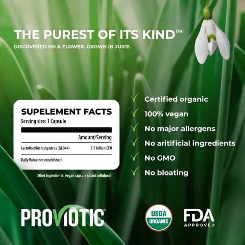 PROVIOTIC Vegan Probiotic Supplement 30 Count | Digestive & Immune Support in Vegan Capsule thumbnail 3