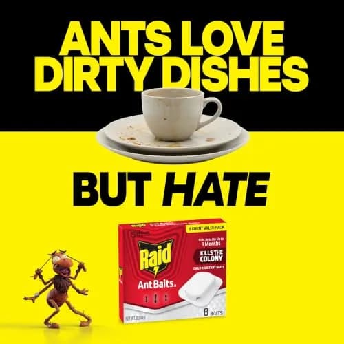 Raid Ant Killer Baits, Child Resistant, 8 Count | Kills Ants Where They Hide thumbnail 5
