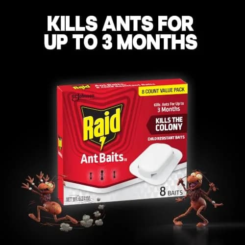 Raid Ant Killer Baits, Child Resistant, 8 Count | Kills Ants Where They Hide thumbnail 6