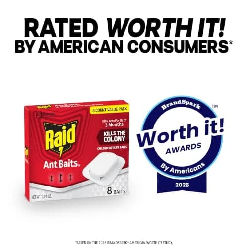 Raid Ant Killer Baits, Child Resistant, 8 Count | Kills Ants Where They Hide thumbnail 8