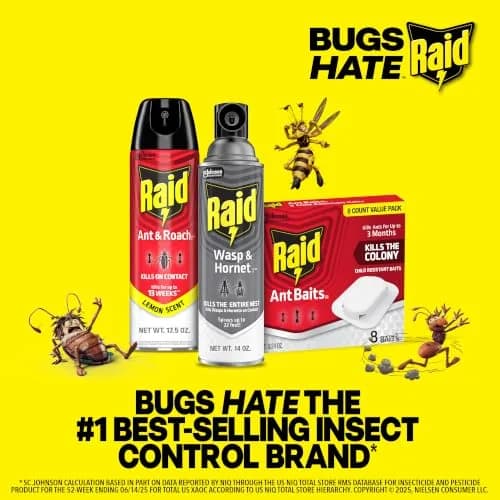 Raid Ant Killer Baits, Child Resistant, 8 Count | Kills Ants Where They Hide thumbnail 9