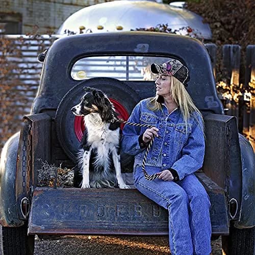 Mendota Pet Slip Leash - Dog Lead & Collar Combo - Made in The USA - Black Ice Red, 3/8 in x 6 ft | Ideal for Small/Medium Breeds thumbnail 5