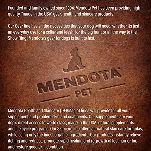 Mendota Pet Slip Leash - Dog Lead & Collar Combo - Made in The USA - Black Ice Red, 3/8 in x 6 ft | Ideal for Small/Medium Breeds thumbnail 7
