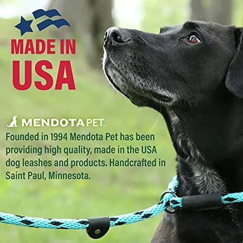 Mendota Pet Slip Leash - Dog Lead & Collar Combo - Made in The USA - Black Ice Red, 3/8 in x 6 ft | Ideal for Small/Medium Breeds thumbnail 3