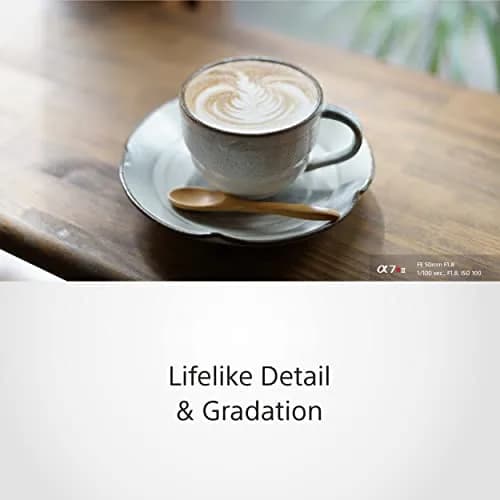 Sony FE 50mm F1.8 Standard Lens (SEL50F18F) Black | Sharp Portraits with Beautiful Bokeh thumbnail 4