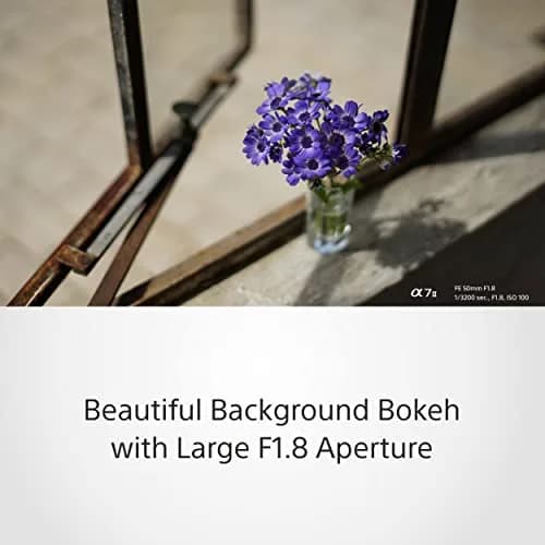 Sony FE 50mm F1.8 Standard Lens (SEL50F18F) Black | Sharp Portraits with Beautiful Bokeh thumbnail 5