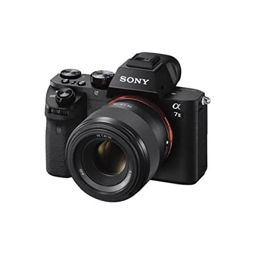 Sony FE 50mm F1.8 Standard Lens (SEL50F18F) Black | Sharp Portraits with Beautiful Bokeh thumbnail 3