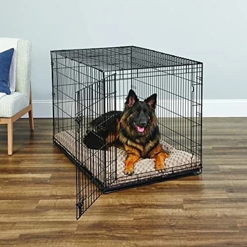 New World 48-Inch Single Door Dog Crate XL Breeds 90-110 lbs | Secure, Durable & Foldable thumbnail 2
