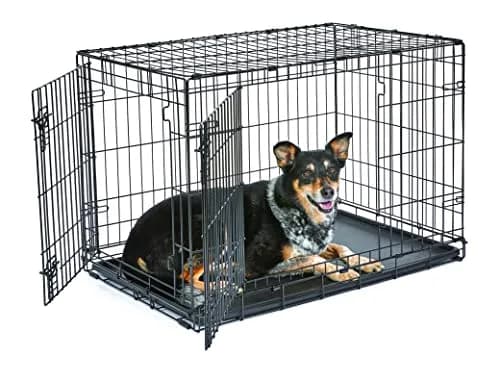 New World 36-Inch Double Door Dog Crate | 41-70 lbs, Durable Metal Wire, Rust-Resistant, Portable, Easy Setup thumbnail 1