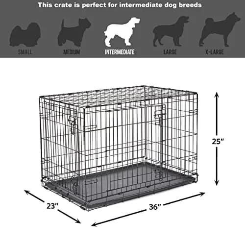 New World 36-Inch Double Door Dog Crate | 41-70 lbs, Durable Metal Wire, Rust-Resistant, Portable, Easy Setup thumbnail 7