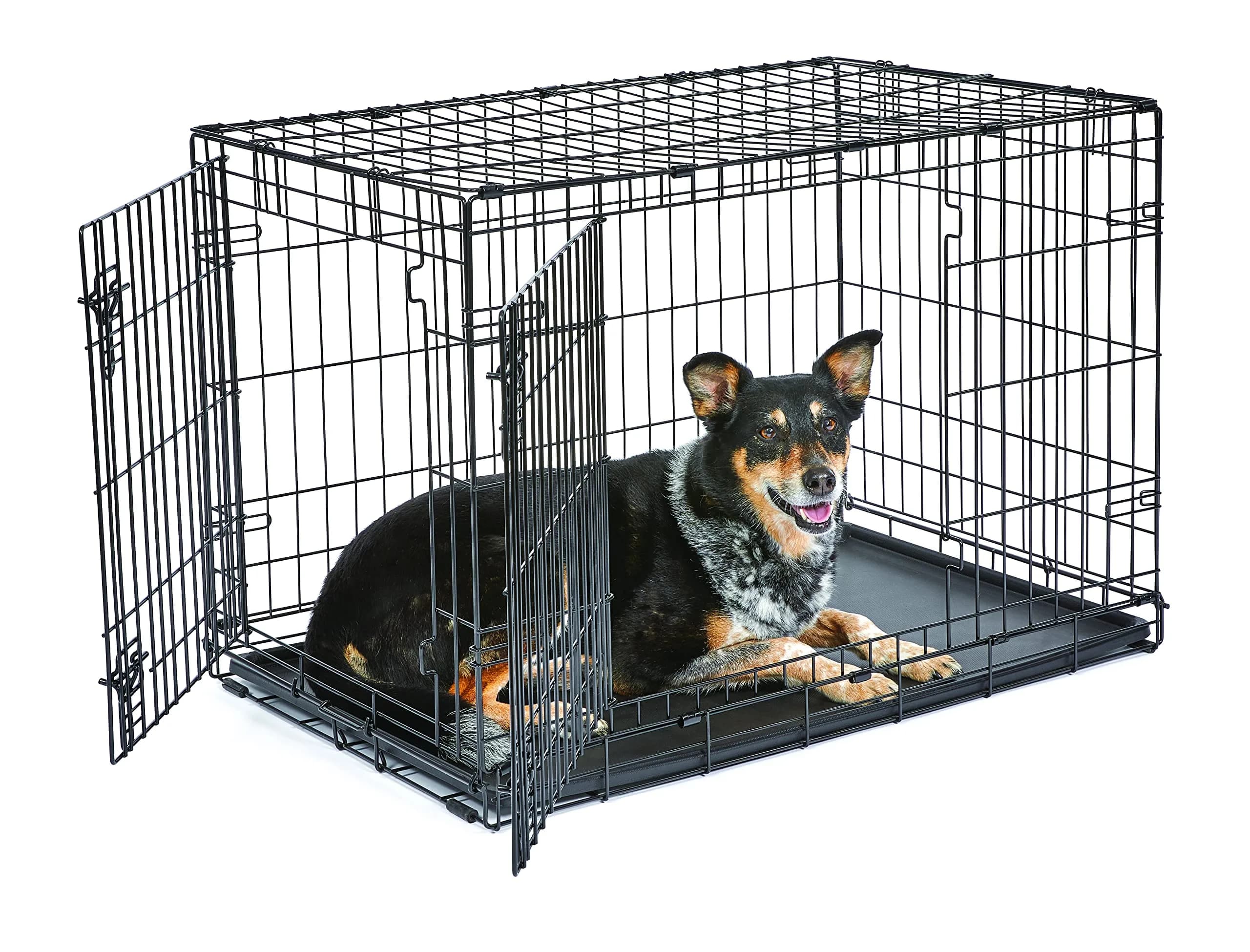 New World 36-Inch Double Door Dog Crate | 41-70 lbs, Durable Metal Wire, Rust-Resistant, Portable, Easy Setup