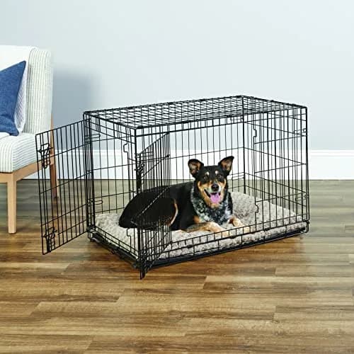 New World 36-Inch Double Door Dog Crate | 41-70 lbs, Durable Metal Wire, Rust-Resistant, Portable, Easy Setup thumbnail 2