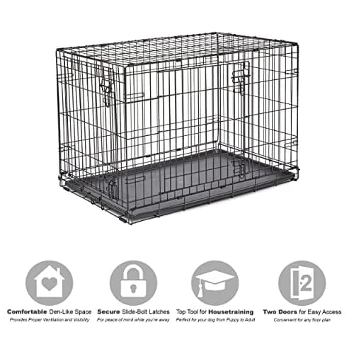 New World 36-Inch Double Door Dog Crate | 41-70 lbs, Durable Metal Wire, Rust-Resistant, Portable, Easy Setup thumbnail 3