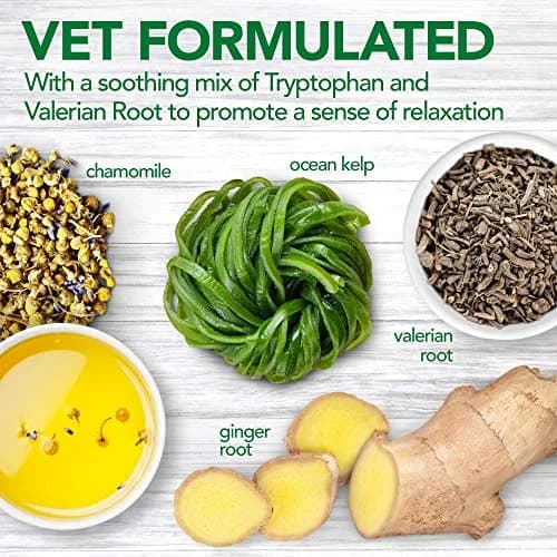 Vet's Best Comfort Calm Soft Chews for Dogs | Relaxation & Stress Support, 30 Day Supply thumbnail 5