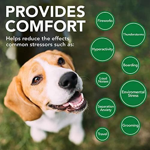 Vet's Best Comfort Calm Soft Chews for Dogs | Relaxation & Stress Support, 30 Day Supply thumbnail 4