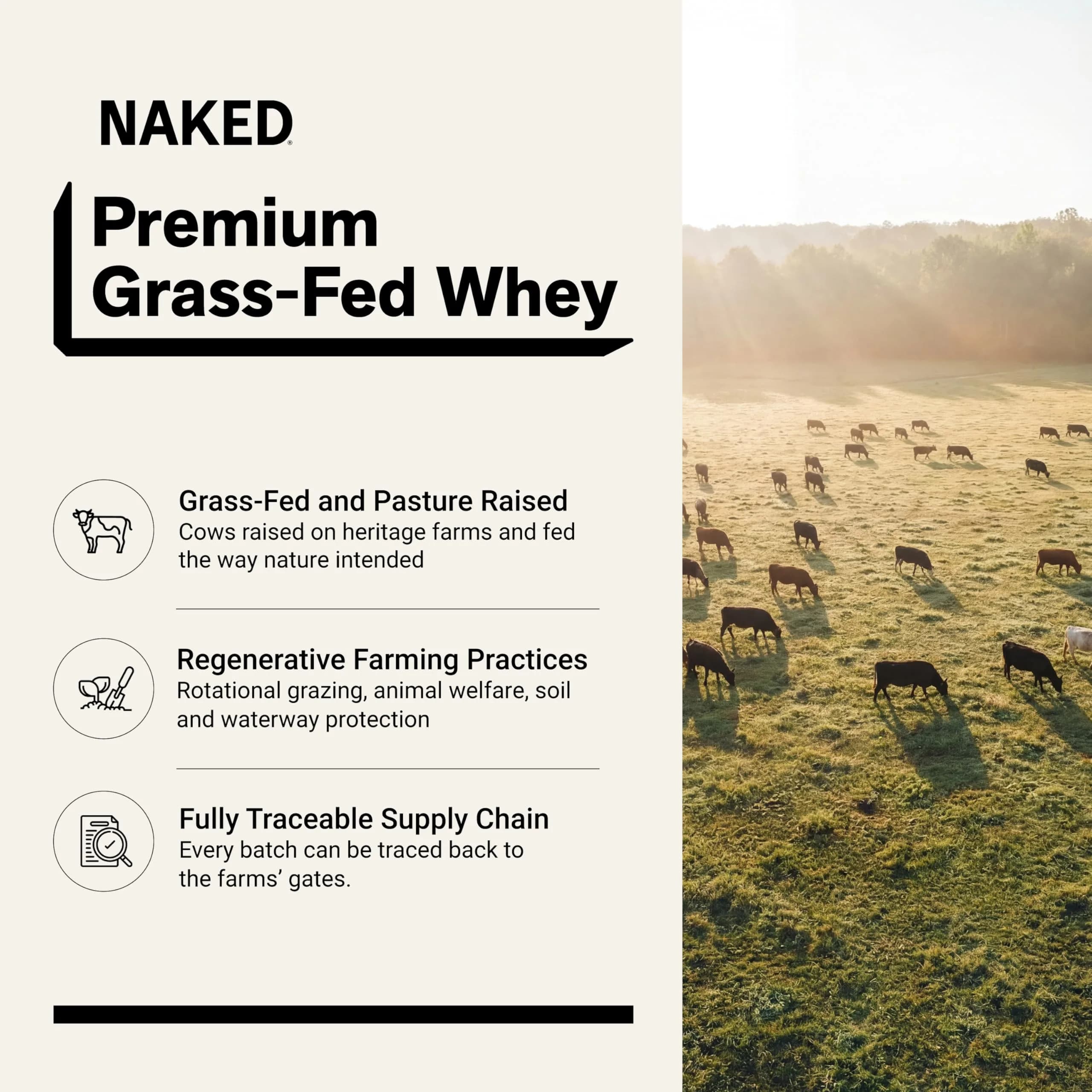 NAKED Strawberry Whey Protein Powder 2.27kg (5 lb) | All Natural Grass Fed Whey Protein Aid Muscle Growth & Recovery - view 2