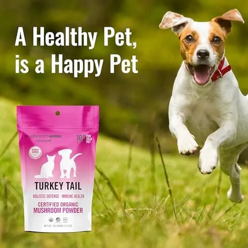 Mushroom Matrix Turkey Tail Mushroom Powder for Pets | Organic USA Grown Immunity Support (100g) thumbnail 2