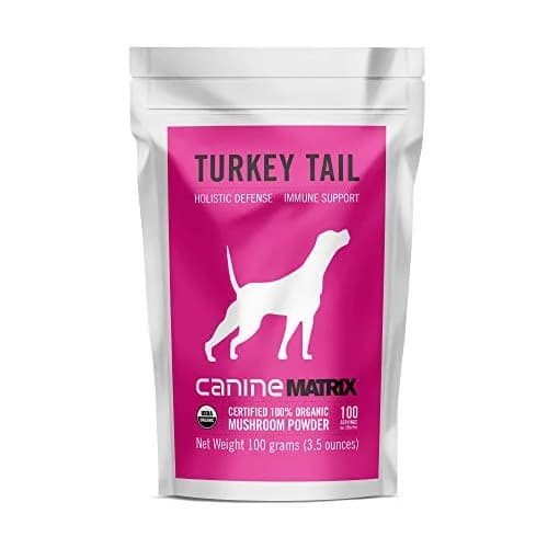 Mushroom Matrix Turkey Tail Mushroom Powder for Pets | Organic USA Grown Immunity Support (100g) thumbnail 3