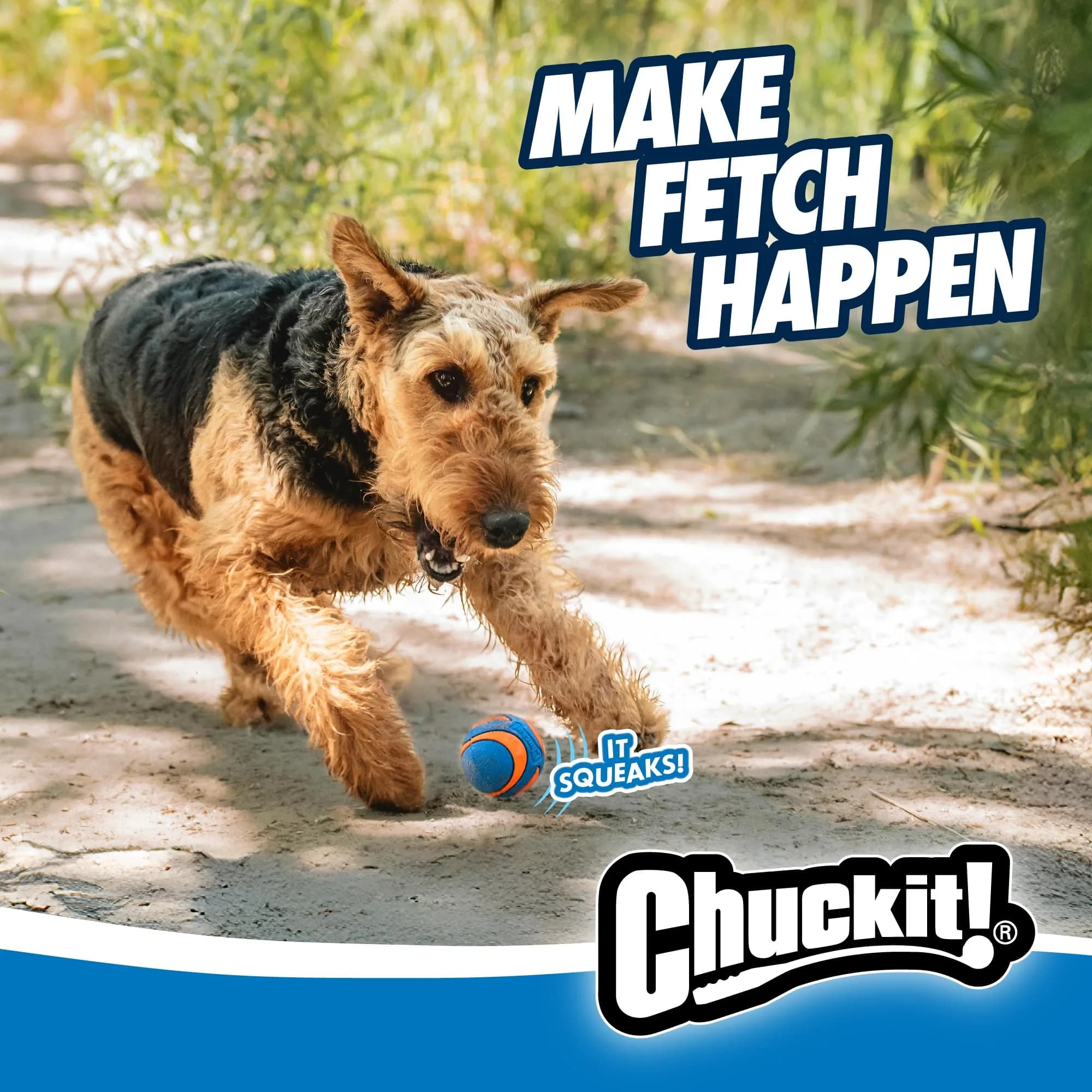 Chuckit! Ultra Squeaker Balls for Dogs, Pack of 2, Medium 6.4cm (2.5") | Durable Rubber Fetch & Water Toys - view 7