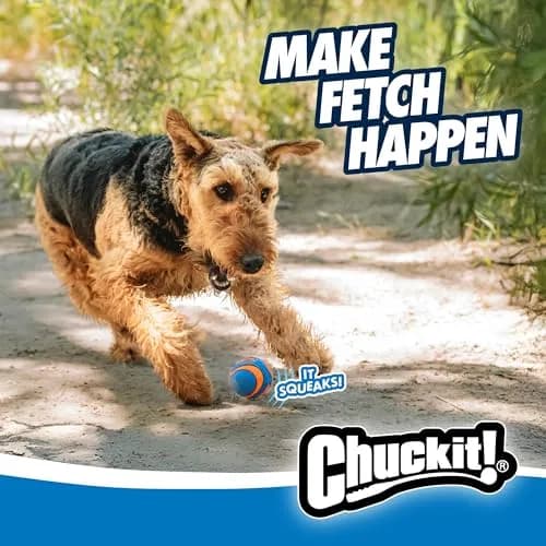 Chuckit! Ultra Squeaker Balls for Dogs, Pack of 2, Medium 6.4cm (2.5") | Durable Rubber Fetch & Water Toys thumbnail 7