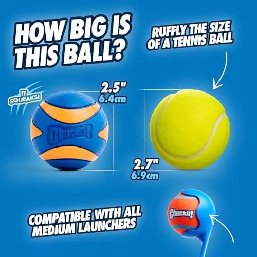 Chuckit! Ultra Squeaker Balls for Dogs, Pack of 2, Medium 6.4cm (2.5") | Durable Rubber Fetch & Water Toys thumbnail 3