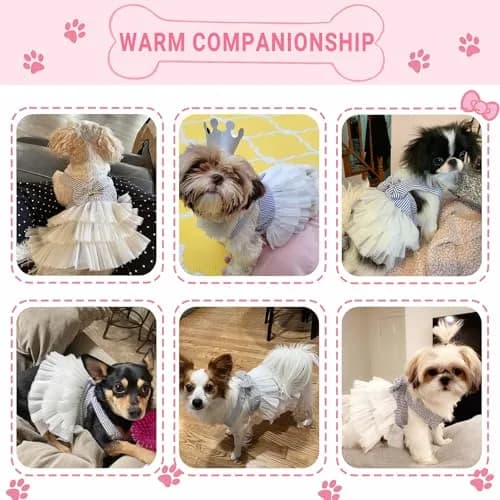 TAPBULL Striped Mesh Dog Princess Dress Blue Medium | Fashion Pet Clothes for Small Dogs thumbnail 4