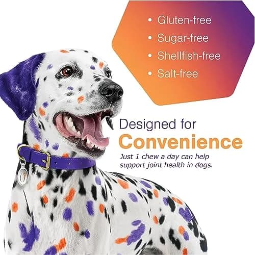 MOVOFLEX Soft Chew Hip & Joint Support for Large Dogs - 60ct | Palatable, No Loading Dose, 5-Ingredient Blend thumbnail 3
