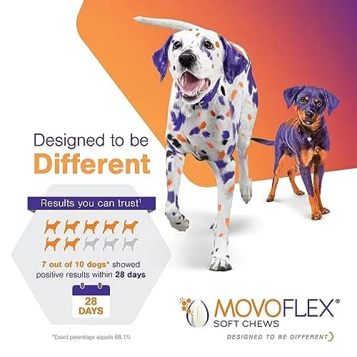 MOVOFLEX Soft Chew Hip & Joint Support for Large Dogs - 60ct | Palatable, No Loading Dose, 5-Ingredient Blend thumbnail 4