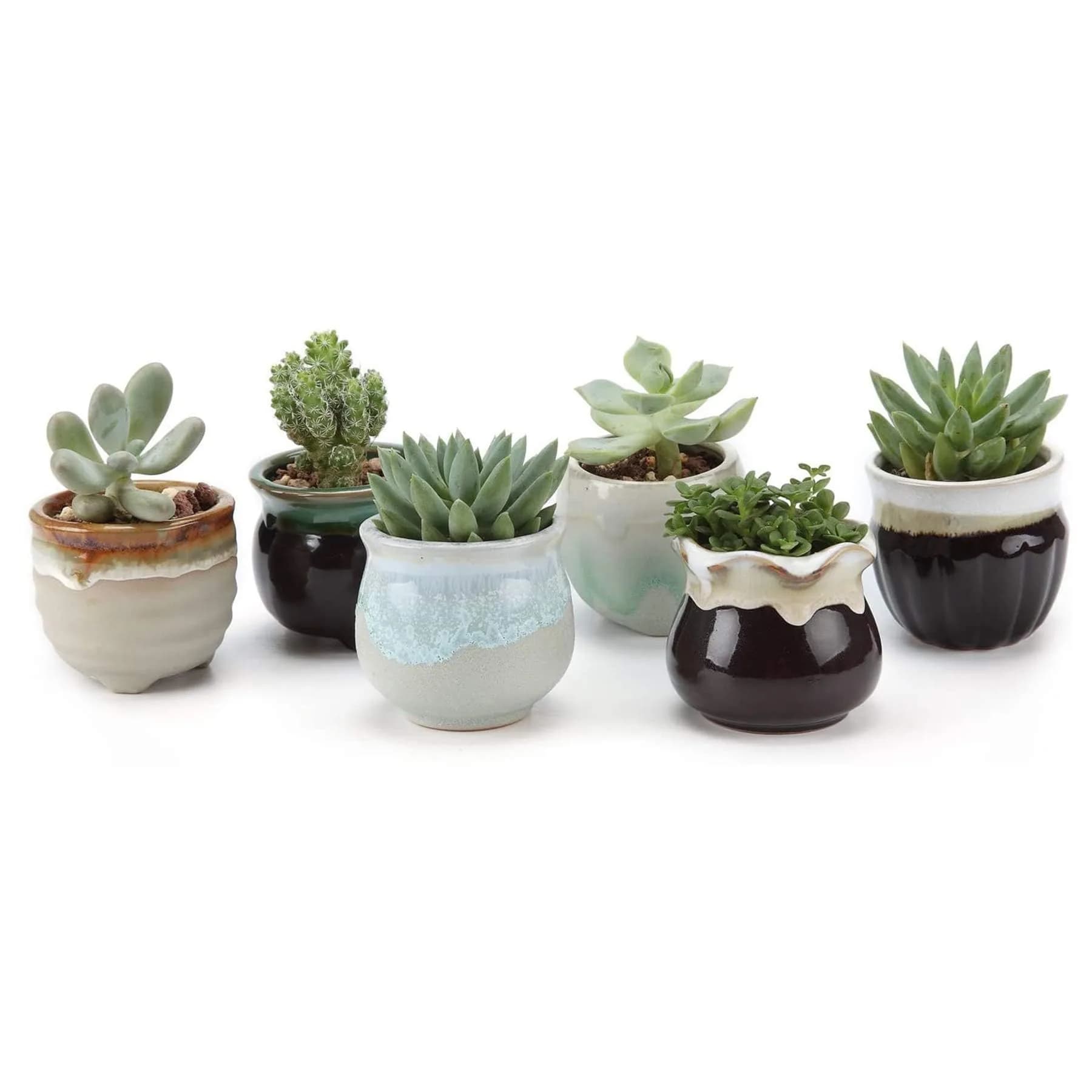 T4U Mini Ceramic Succulent Pots Set of 6 | Small Gift Planters for Indoor & Outdoor Decor