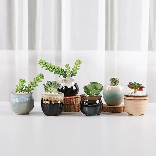 T4U Mini Ceramic Succulent Pots Set of 6 | Small Gift Planters for Indoor & Outdoor Decor thumbnail 4