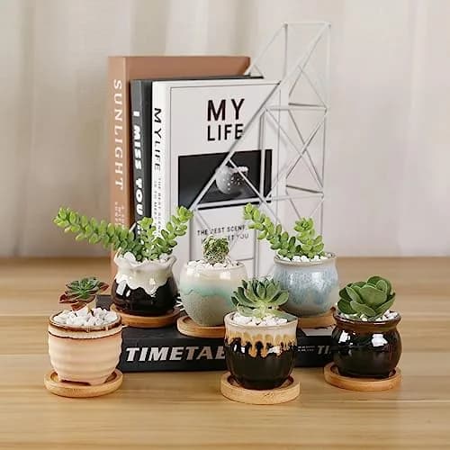 T4U Mini Ceramic Succulent Pots Set of 6 | Small Gift Planters for Indoor & Outdoor Decor thumbnail 6