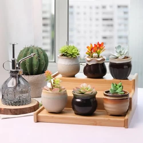 T4U Mini Ceramic Succulent Pots Set of 6 | Small Gift Planters for Indoor & Outdoor Decor thumbnail 7