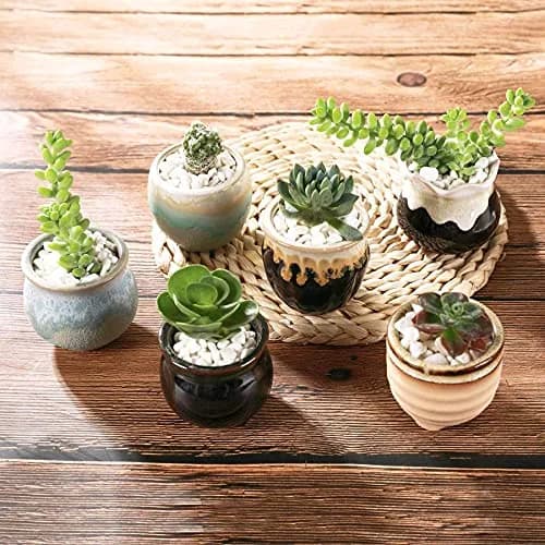 T4U Mini Ceramic Succulent Pots Set of 6 | Small Gift Planters for Indoor & Outdoor Decor thumbnail 8
