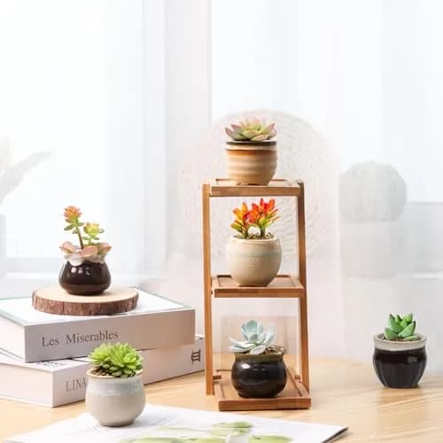 T4U Mini Ceramic Succulent Pots Set of 6 | Small Gift Planters for Indoor & Outdoor Decor thumbnail 9