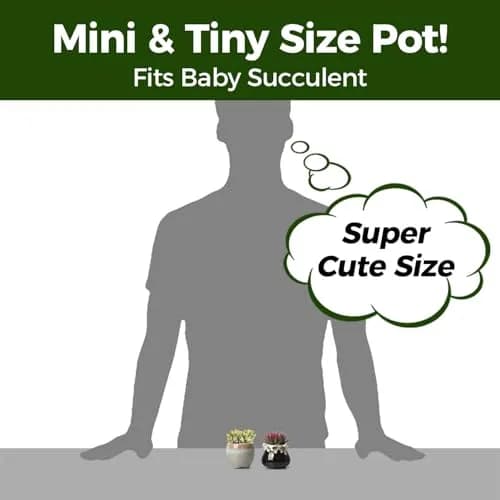 T4U Mini Ceramic Succulent Pots Set of 6 | Small Gift Planters for Indoor & Outdoor Decor thumbnail 2