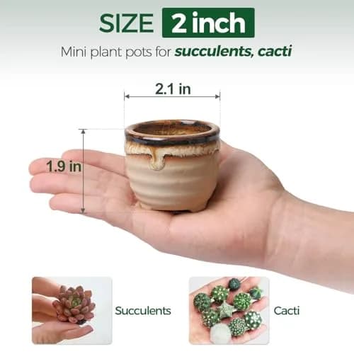 T4U Mini Ceramic Succulent Pots Set of 6 | Small Gift Planters for Indoor & Outdoor Decor thumbnail 3