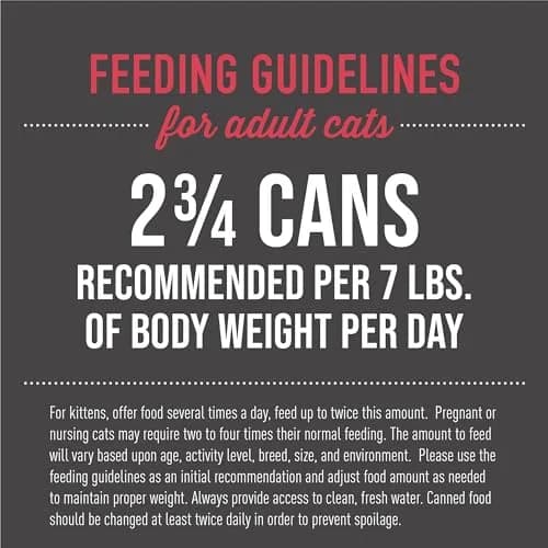 TIKI PETS Tiki Cat Aloha Friends Wet Cat Food, Tuna, Shrimp & Pumpkin, 3oz Can | Grain-Free, High Moisture, Protein-Rich thumbnail 3