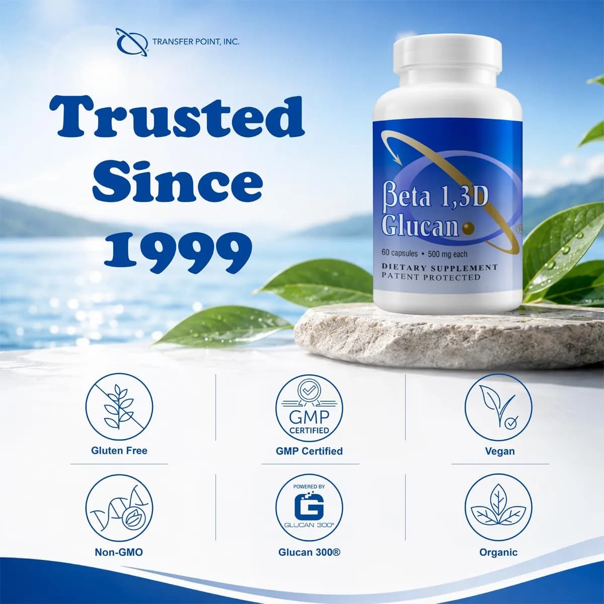 Transfer Point Beta 1,3D Glucan 500 mg Capsules (60 Count) | Immune Support from Baker's Yeast - view 4