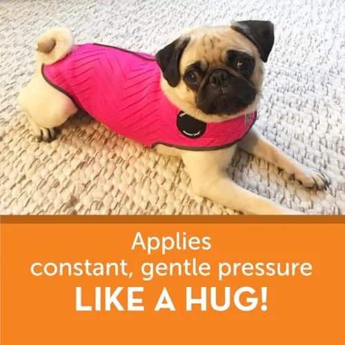 Thundershirt Dog Anxiety Vest Large Fuchsia Sport | Calms Separation Anxiety & Fear thumbnail 4