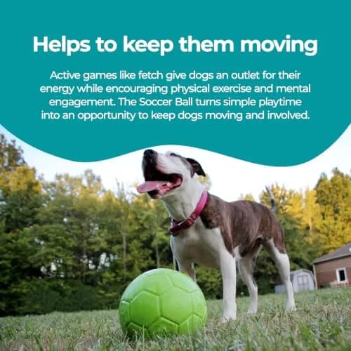 Jolly Pets Large Jolly Soccer Ball 20.32cm (8 Inch) | Floating-Bouncing Dog Toy thumbnail 4
