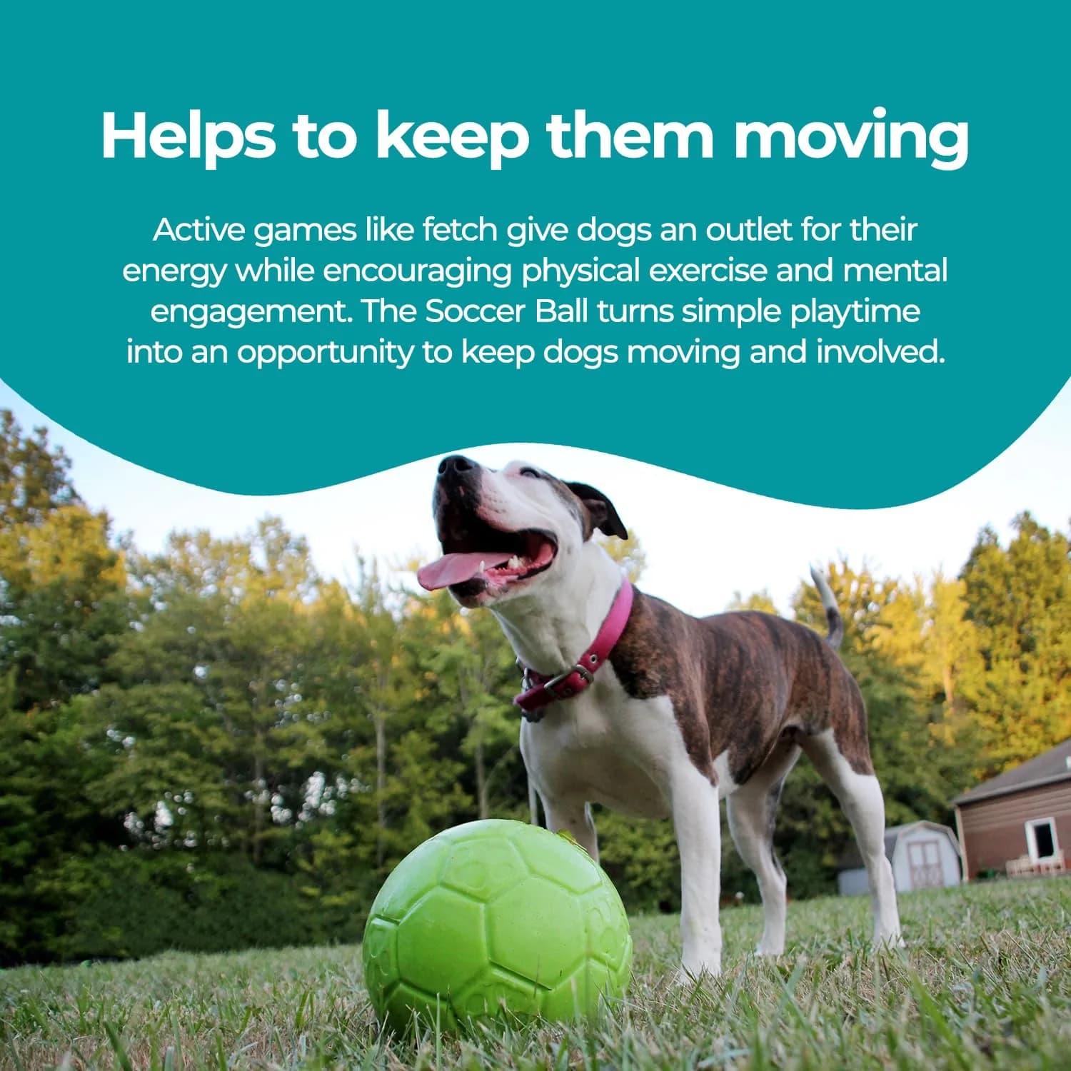 Jolly Pets Large Jolly Soccer Ball 20.32cm (8 Inch) | Floating-Bouncing Dog Toy - view 4