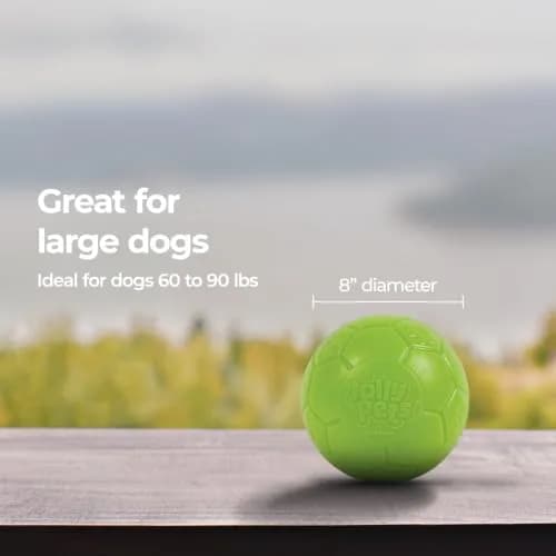 Jolly Pets Large Jolly Soccer Ball 20.32cm (8 Inch) | Floating-Bouncing Dog Toy thumbnail 5