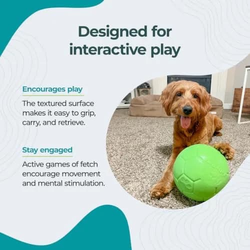 Jolly Pets Large Jolly Soccer Ball 20.32cm (8 Inch) | Floating-Bouncing Dog Toy thumbnail 3