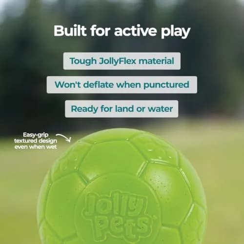 Jolly Pets Medium Soccer Ball Dog Toy 15.24 cm (6 inch) | Floating & Bouncing Fetch Ball for Dogs thumbnail 6