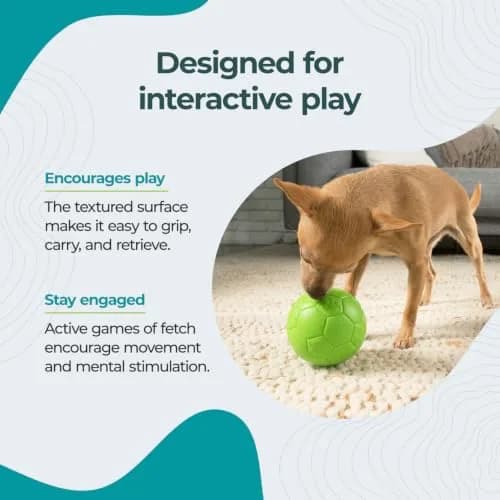Jolly Pets Medium Soccer Ball Dog Toy 15.24 cm (6 inch) | Floating & Bouncing Fetch Ball for Dogs thumbnail 3