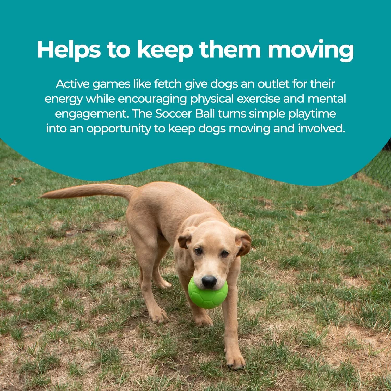 Jolly Pets Medium Soccer Ball Dog Toy 15.24 cm (6 inch) | Floating & Bouncing Fetch Ball for Dogs - view 4