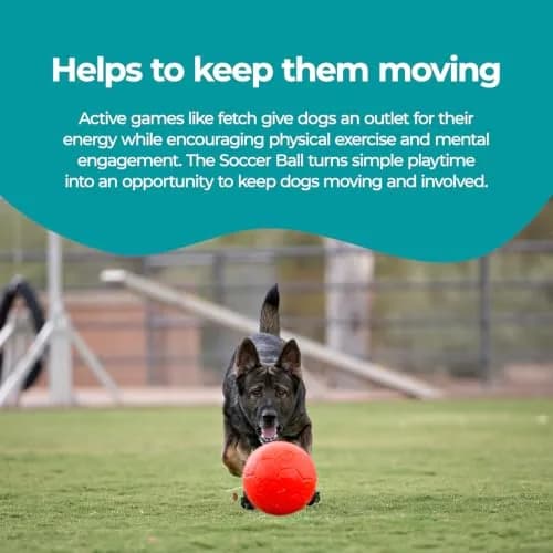 Jolly Pets Large Soccer Ball Dog Toy 20.3 cm (8 inch) Diameter Orange | Unsinkable & Unpuncturable Play Ball thumbnail 5